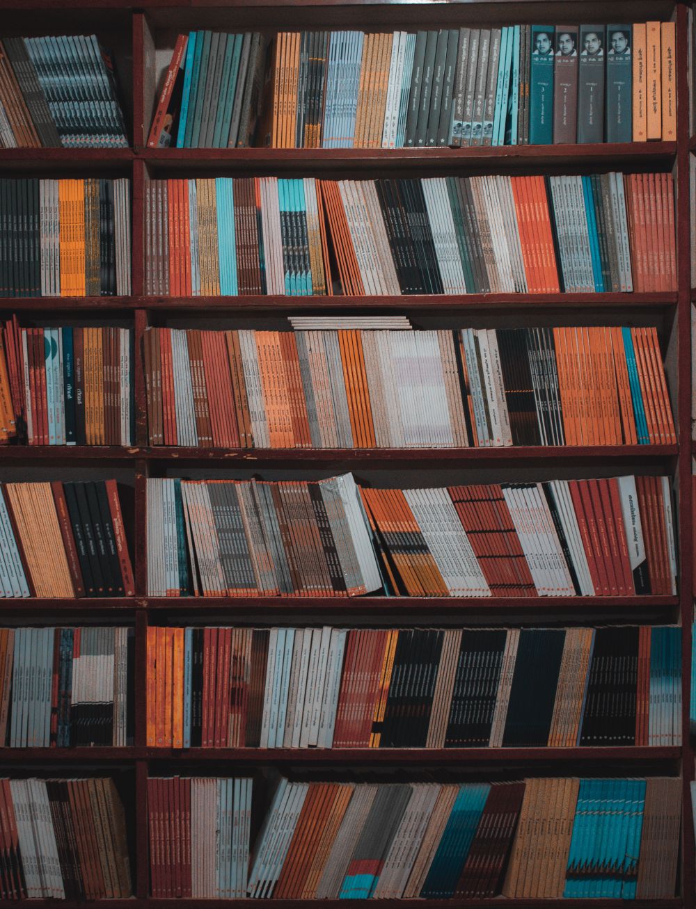 Bookshelves in the school library